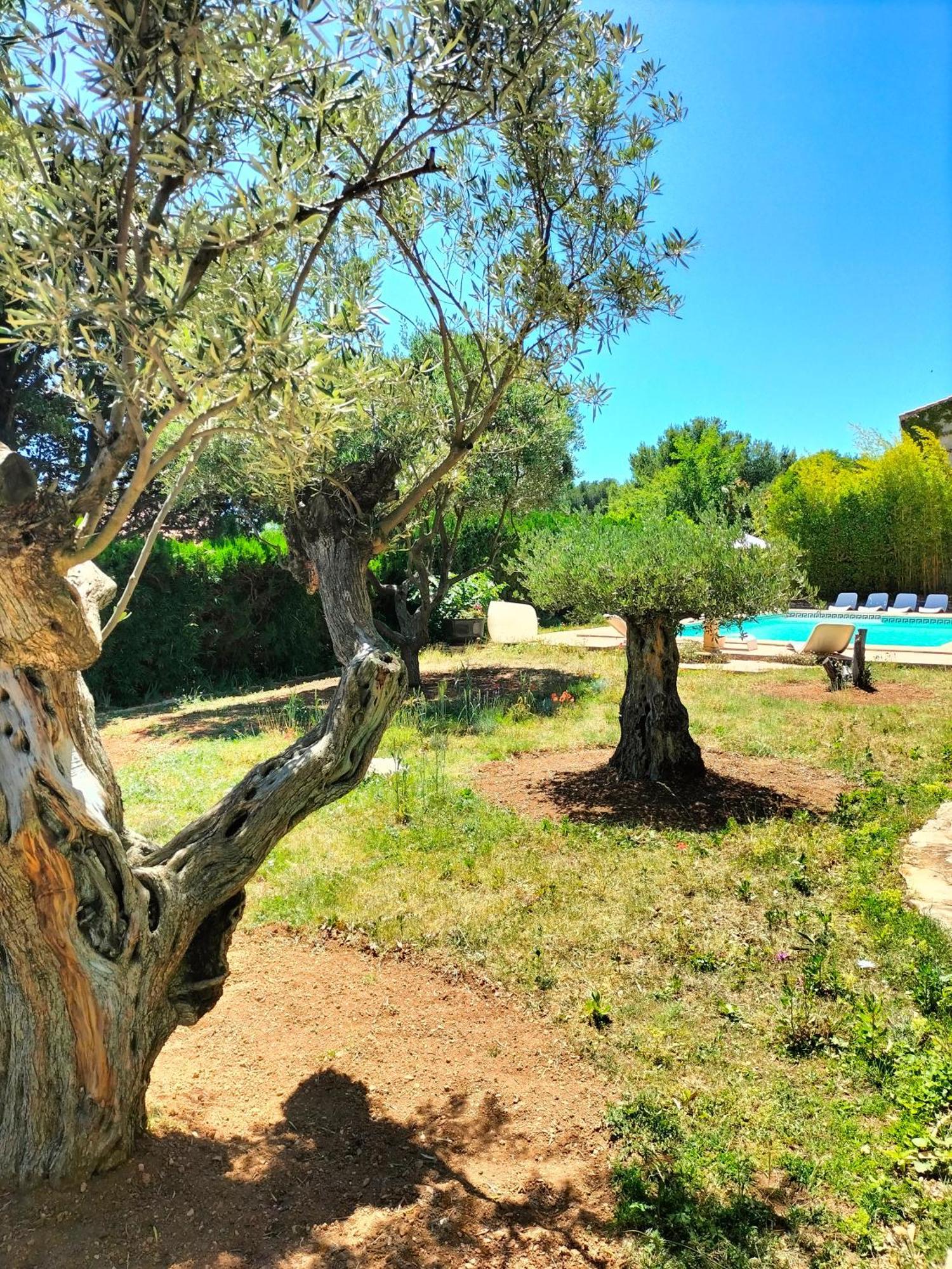 Vacances Carnoux-en-Provence Exteriör bild
